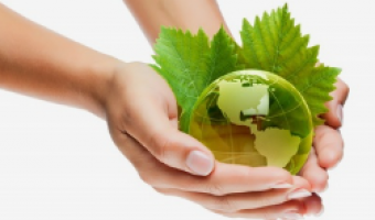 牛宝体育欧洲杯-创顺公司2022年环保治理责任信息