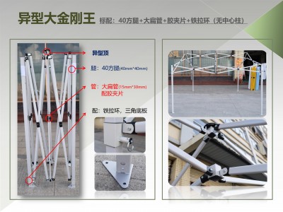 异型大金刚王